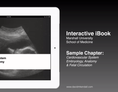 iBooks: Medical Notes