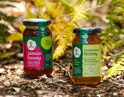 Last Forest - Packaging Design System for Honey