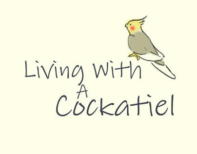 Living With a Cockatiel