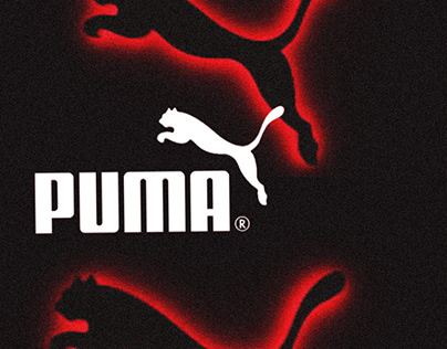 Puma: Store layout