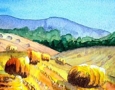 Fields Of Corn Harvested watercolour painting