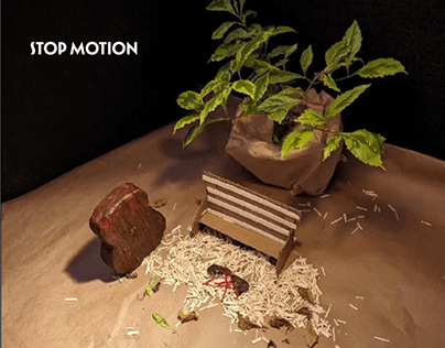 Stop motion tradicional - transformación de madera