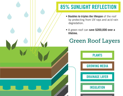 Ecohabit Green Roof & Wall Infograph