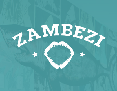 Zambezi Website Redesign