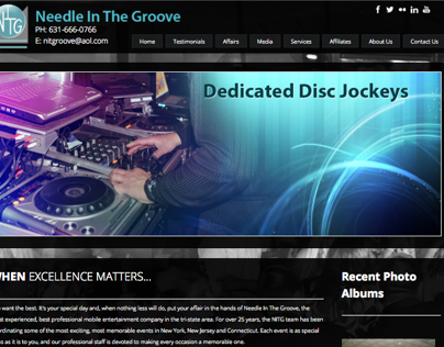 Needle In The Groove Wordpress Website 