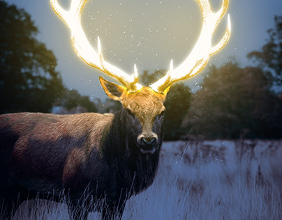 Deer-Glowing Effect