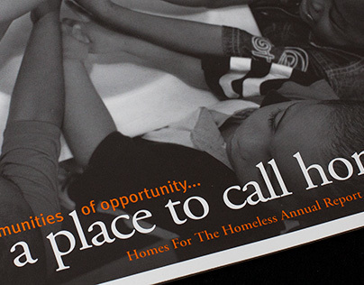 Homes For The Homeless Annual Report