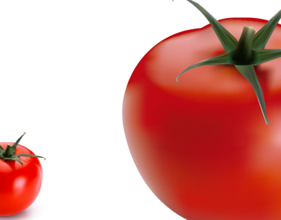 Vetorização do tomate