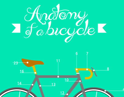 Anatomy of a bicycle