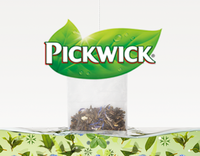 Web Design: Pickwick.nl