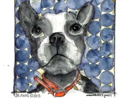 Pup Portraits - by James Nutt