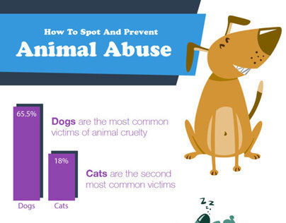 How To Spot And Prevent Animal Abuse