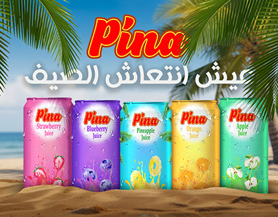 Pina Juice package + logo design