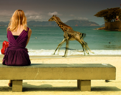 Giraffe in Copacabana