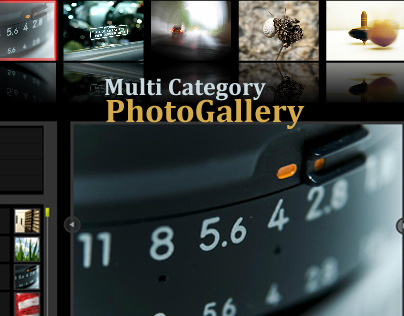 Multi-Photo Gallery