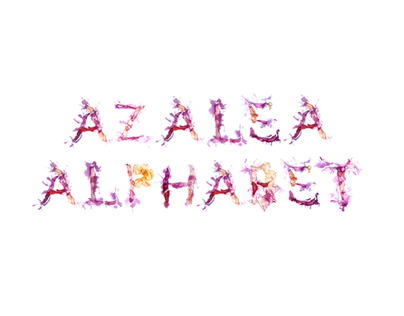 Azalea Alphabet