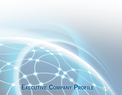 CON.NEXO' Company Profile - y 2013