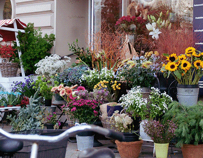 High flower shop for flowers
