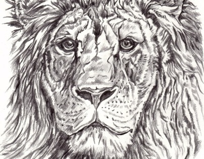 Lion head 