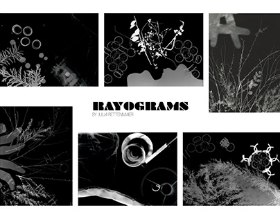 Rayograms by Julia Rettenmaier