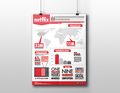 Netflix Information Graphic