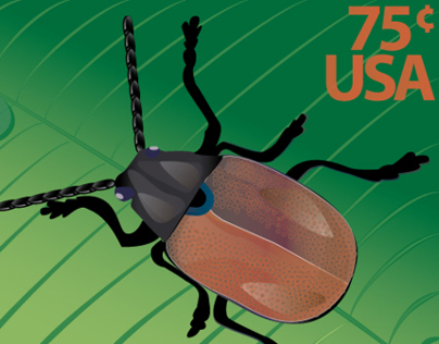 Coleoptera Stamp