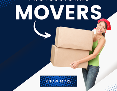 District moving company