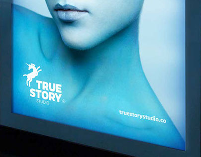 True Story Studio - Branding