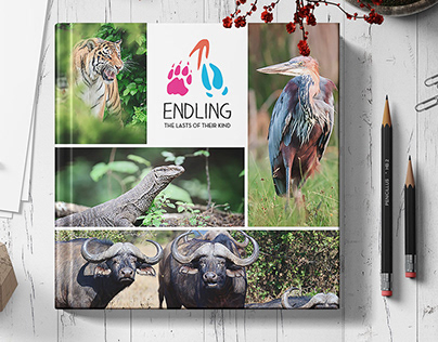 Endling Zoo Branding + Guidebook