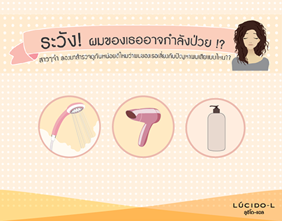 Infographic for LUCIDO-L (Hair Product)
