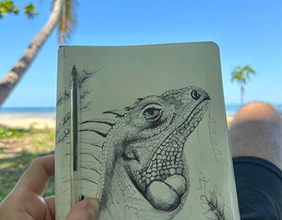 Travel sketchbook (Madagascar)