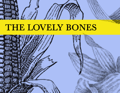 The Lovely Bones cover redesign