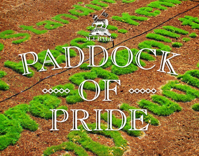 Paddock of Pride