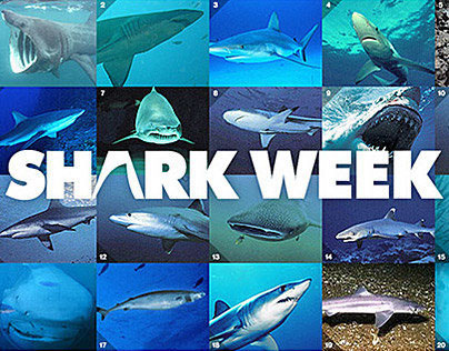 INTERACTIVE LIGHTBOX: SHARK WEEK