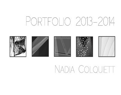 spring 2014 portfolio