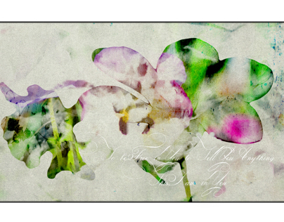 Variations on Pink and Green 2014