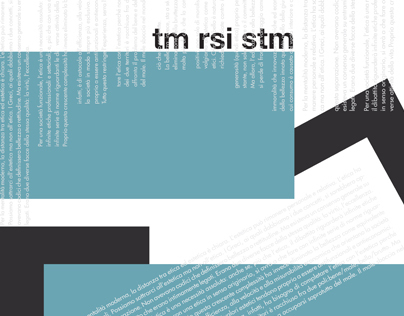 tm rsi stm fgi bt - redesign a swiss magazin