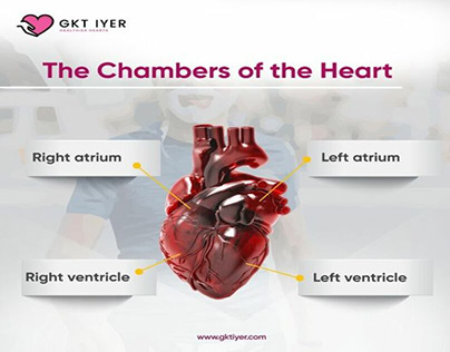 The Chambers of the Heart.