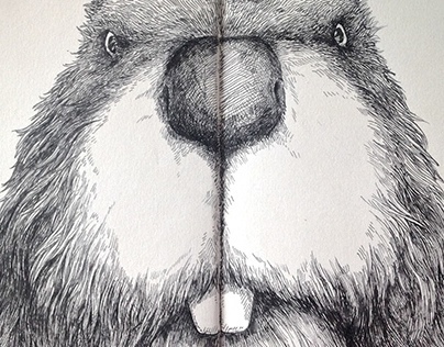 Mr.Beaver - Moleskine Sketch