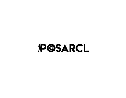 Desarrollo web para POSARCL