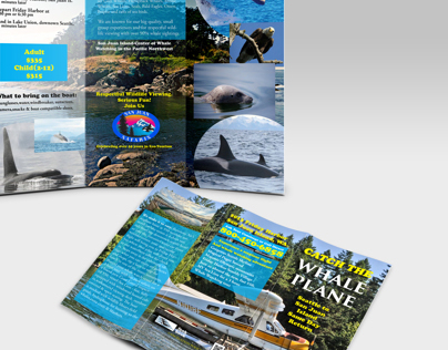brochure Whale plane