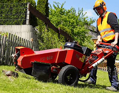 Stump Grinder: Guide to Removing Tree Stumps