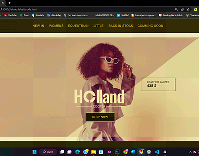 Демо сайт и лого на Holland Copper