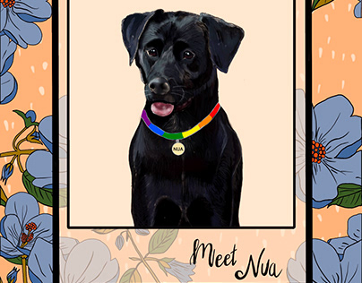 Meet Nua