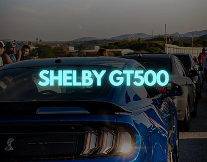 Project thumbnail - Shelby GT500