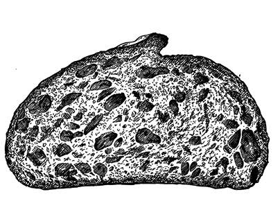 Bread illustration