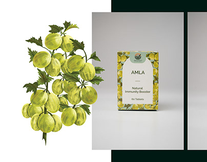 Herbal Illustration & Packaging for Ayurveda Brand