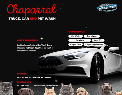 Factors To Consider While Choosing A Car And Pet Wash