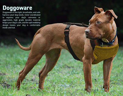 Doggoware Harness
