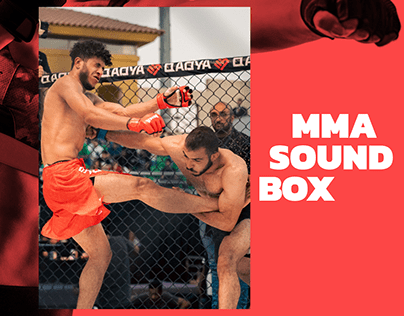 MMA| HIT BOX